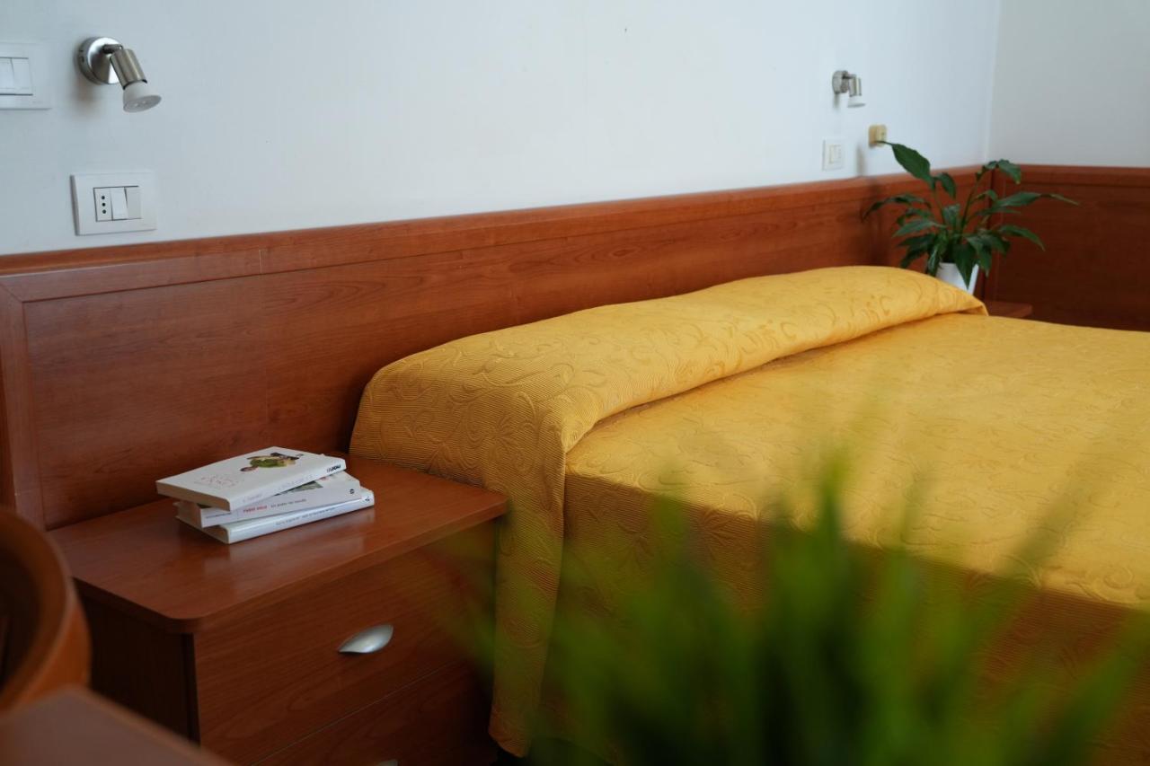 גביצ'ה מארה Hotel International מראה חיצוני תמונה